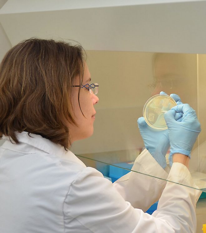 ILRI researcher, Elise Schieck, in laboratory 