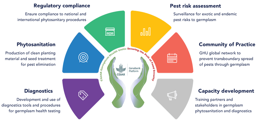 Core functions of CGIAR GHUs