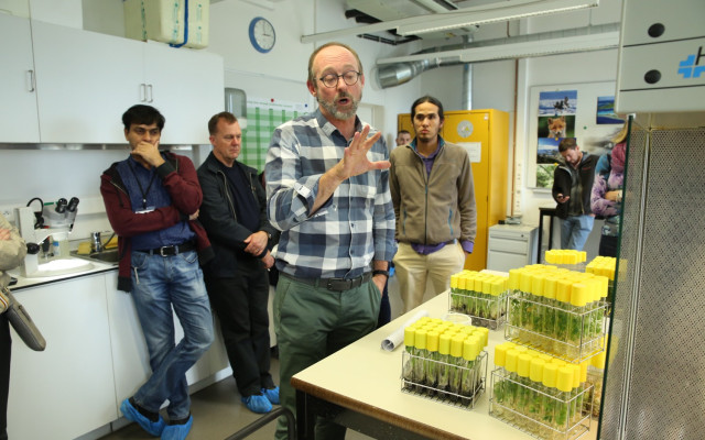 Day 5 of the 2017 AGM featured a tour of ITC Musa genebank in Leuven.